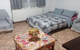 Green House - Apartment In Aridaia-Loutra Pozar